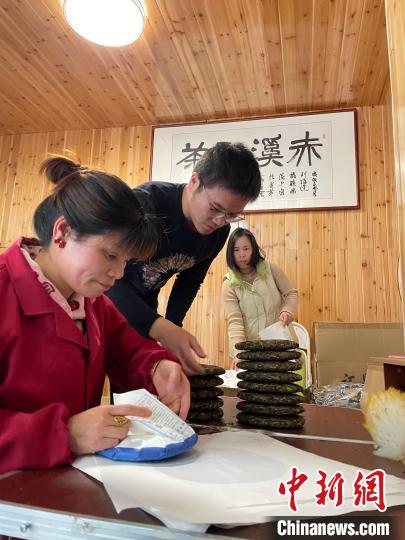 資料圖：杜贏(左二)在整理白茶餅?！×执阂?攝